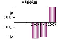 当期純利益