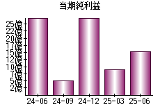 当期純利益