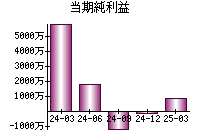 当期純利益