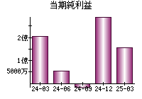 当期純利益