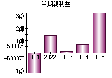 当期純利益