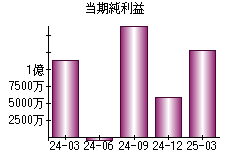当期純利益