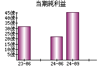 当期純利益