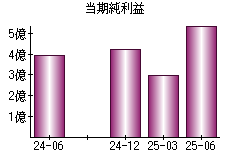 当期純利益