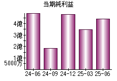 当期純利益