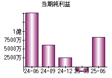 当期純利益