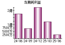 当期純利益