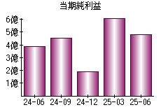 当期純利益