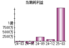 当期純利益