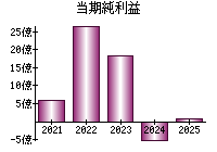 当期純利益