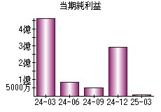 当期純利益