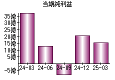 当期純利益