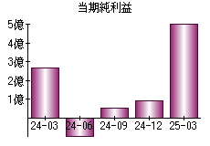 当期純利益