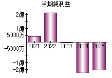 当期純利益