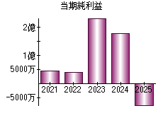 当期純利益