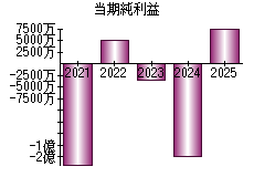 当期純利益