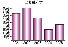 当期純利益