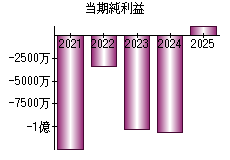 当期純利益