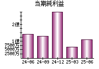 当期純利益