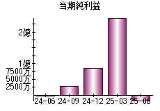 当期純利益
