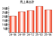売上高合計