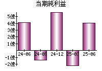 当期純利益