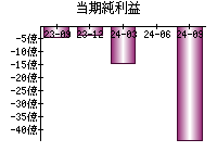 当期純利益