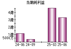当期純利益