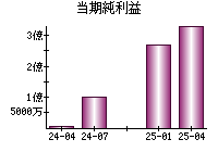 当期純利益