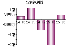 当期純利益