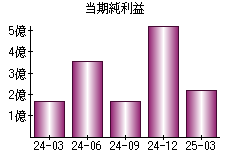当期純利益