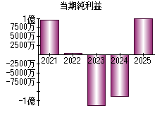 当期純利益