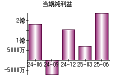 当期純利益
