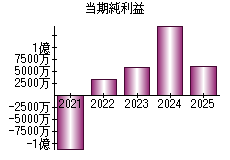当期純利益