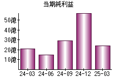 当期純利益