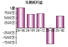 当期純利益