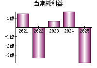当期純利益