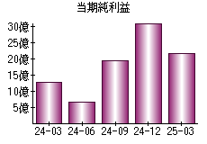 当期純利益
