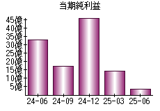 当期純利益