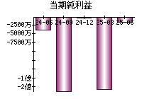 当期純利益