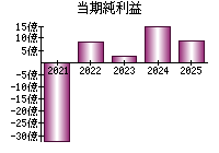 当期純利益