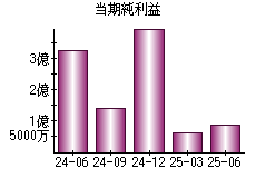 当期純利益