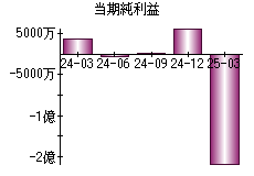 当期純利益