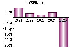 当期純利益