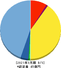 スパイダープラス 貸借対照表 2021年3月期 スパイダープラス 貸借対照表 2021年3月期