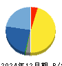 リミックスポイント 貸借対照表 2024年12月期