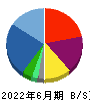 アンビションＤＸホールディングス 貸借対照表 2022年6月期