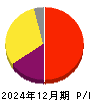 ｉ－ｐｌｕｇ 損益計算書 2024年12月期