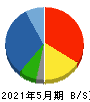 ヤマシタヘルスケアホールディングス 貸借対照表 2021年5月期