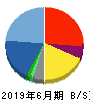 平山ホールディングス 貸借対照表 2019年6月期